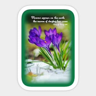 Flowers appear on the earth; the season of singing has come - Song of Songs 2:12 Sticker